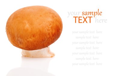 taze mantar, üzerinde beyaz izole