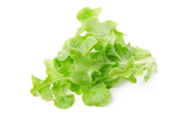 Green lettuce salad, isolated on white — Stock Photo, Image