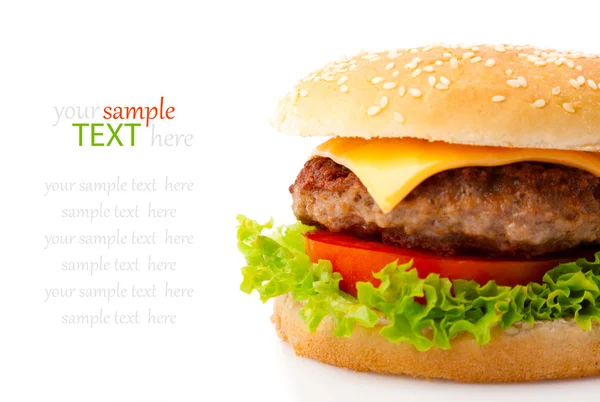 Beyaz arkaplanda lezzetli bir hamburger
