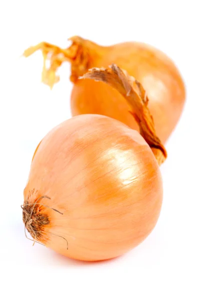 Bombillas frescas de cebolla sobre un fondo blanco — Foto de Stock