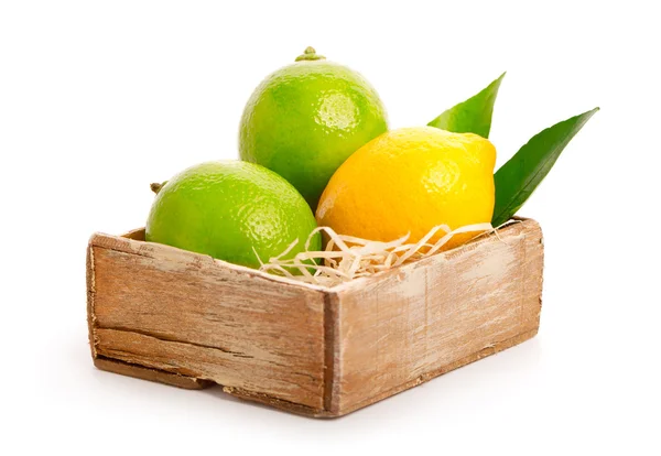 Yellow and green lemon over white background. — Stock Photo, Image