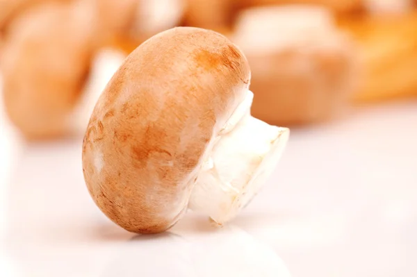 Макро-кадр из свежих грибов — стоковое фото