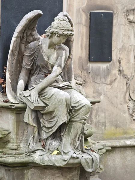 Estatua de ángel — Foto de Stock