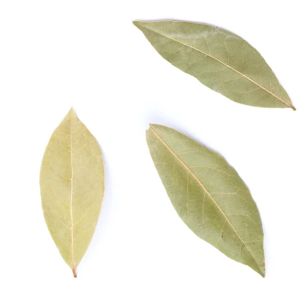 Сухие лавровые листья, изолированные на белом — стоковое фото