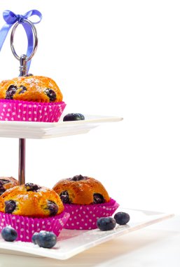 Blueberry muffins beyaz zemin üzerine