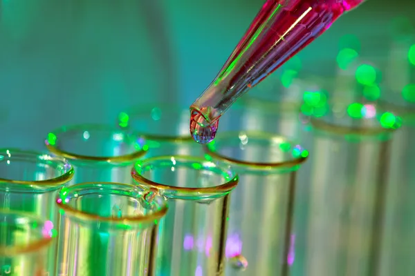 Pipette adding fluid to one of several test tubes — Stock Photo, Image