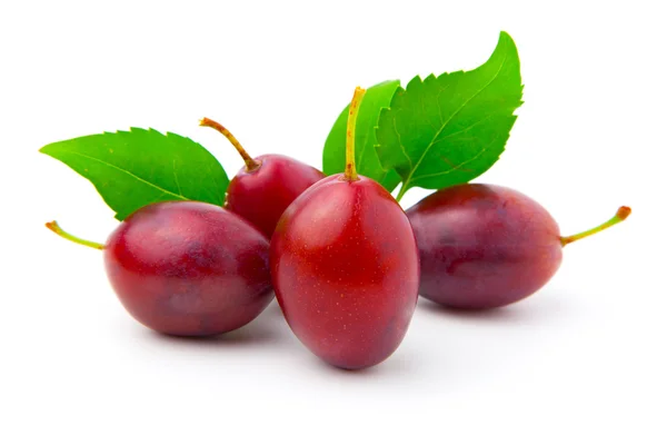 Plums with leaves on white background. — Stock Photo, Image