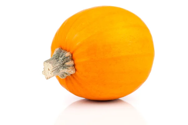 Mini calabaza aislada sobre fondo blanco — Foto de Stock