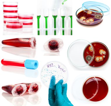 Set of laboratory supplies. Petri dish, Spectrophotometer quvett clipart