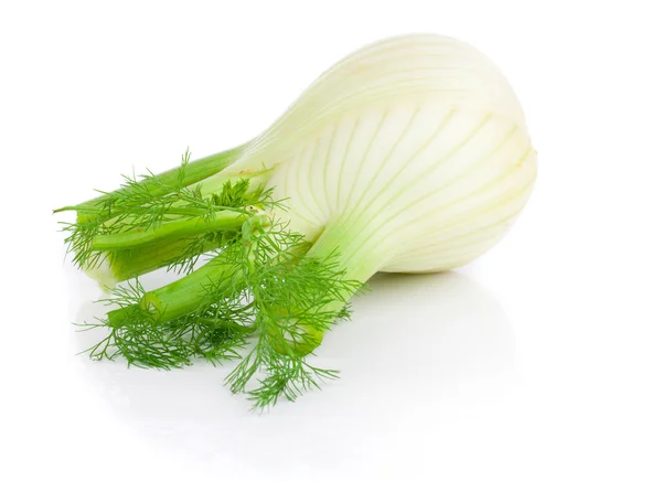 Frischer Bio-Fenchel auf weißem Hintergrund — Stockfoto