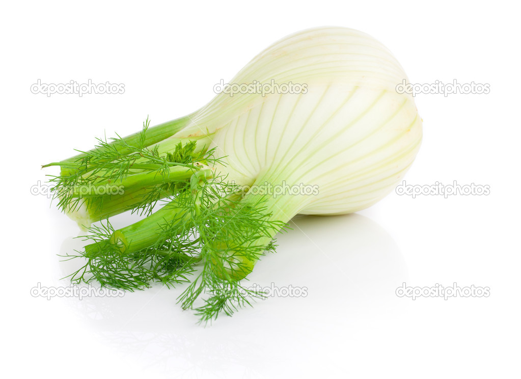 Fresh, organic fennel on a white background