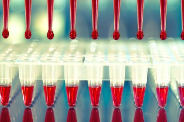 Pcr Dna amplifikasyon için araçları: 96-şey plaka ve otomatik