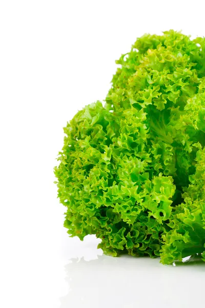 Свіжі листя салату ізольовані на білому тлі — стокове фото