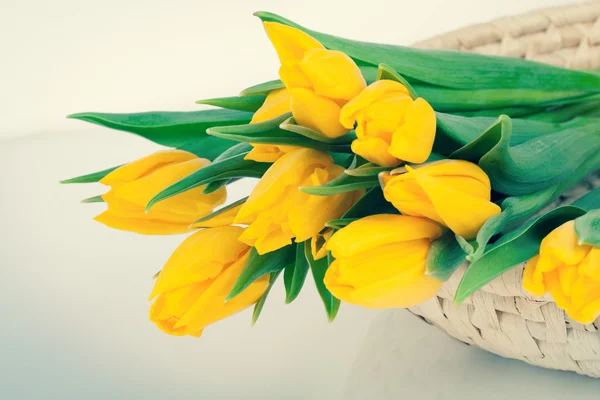 Bouquet of fresh yellow tulips — Stock Photo, Image