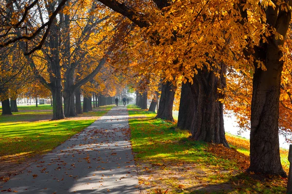 güzel uzun boylu aut dizilmiş egzersiz için yaya geçidi