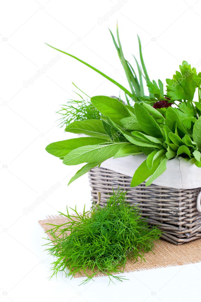 green herbs in braided basket isolated on white background