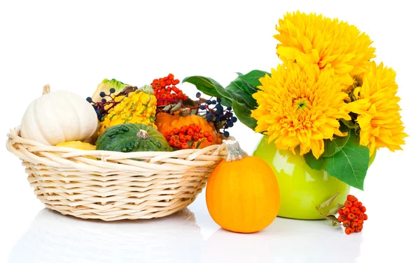 Calabazas de otoño en una cesta de paja, aisladas en el backgro blanco —  Fotos de Stock