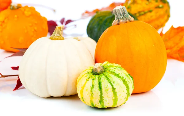 Autumn pumpkins in a straw basket — Stock Photo, Image