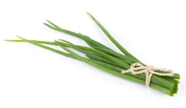 Beyaz arka plan üzerinde izole taze yeşil soğan