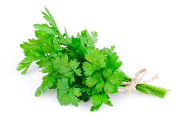 A bunch of garden parsley on a white background — Stock Photo, Image