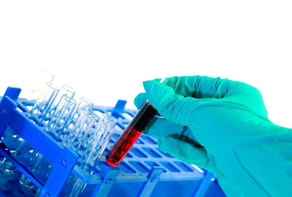 Ein Reagenzglas mit roter Flüssigkeit isoliert auf weißer — Stockfoto
