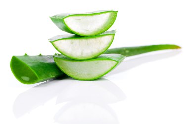 Aloe vera taze yaprak. beyaz üzerinde izole