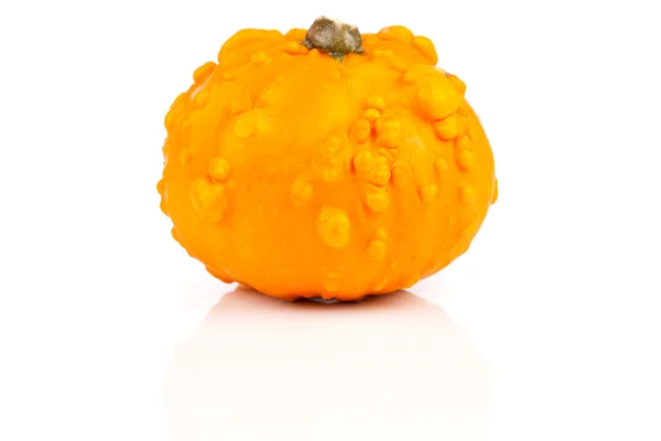 Mini pumpkin isolated on white background — Stock Photo, Image