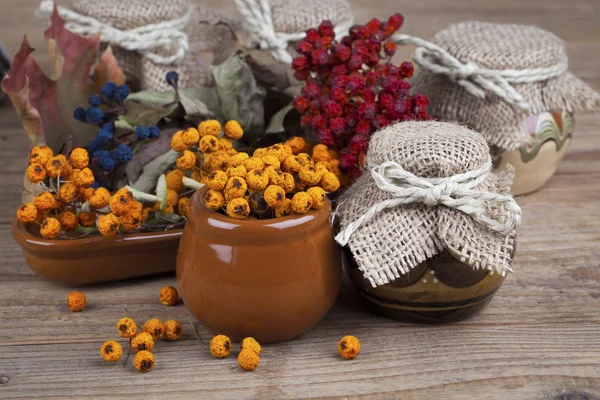 Rowan berries in the clay pots, on white background — Stock Photo, Image