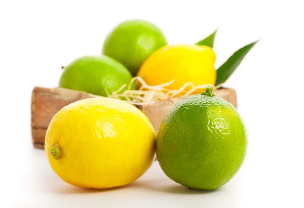 Fresh lemon and lime, Isolated on white backgroun — Stock Photo, Image