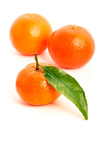 Orangefarbene Mandarinen mit grünem Blatt auf weißem Hintergrund — Stockfoto