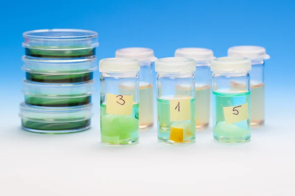 Samples in plastic vials for microscopy and biopsy tissue. biolo — Stock Photo, Image