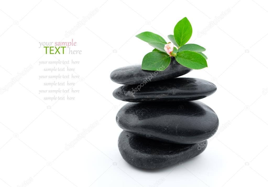 Balanced spa stones with plant and white background.