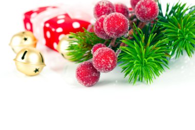 Beyaz arkaplanda Noel çelengi