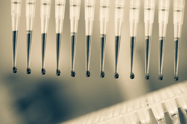 Beladung von PCR-Proben in nummerierten Plastikröhrchen — Stockfoto