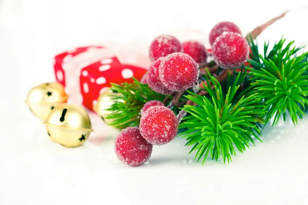 Christmas wreath on white background — Stock Photo, Image