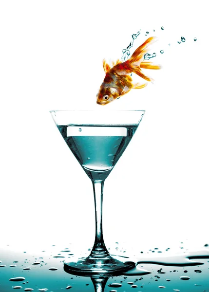Hoppa av gyllene fisk till martini glas, vit bakgrund — Stockfoto