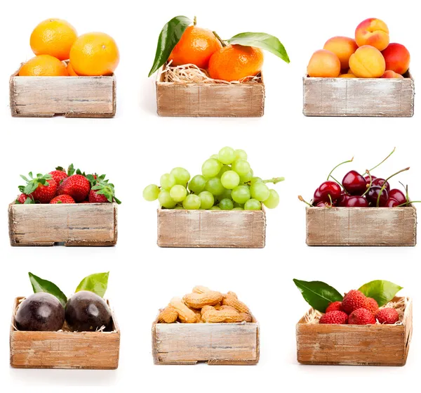 portakal, mandalina, kayısı, çilek, üzüm, kiraz, nu kümesi