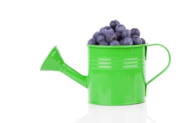 Fresh Blueberries in watering can, on white background — Stock Photo, Image