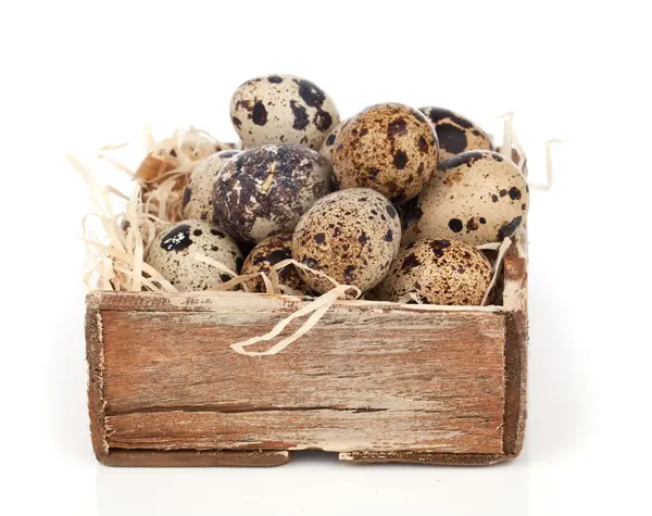 Quail eggs isolated on white background — Stock Photo, Image