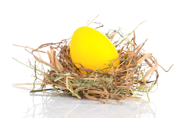 Uovo di Pasqua in un nido su sfondo bianco — Foto Stock