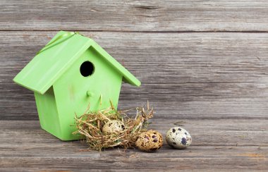 bıldırcın yumurtası ile ahşap zemin üzerinde kuş yuvası