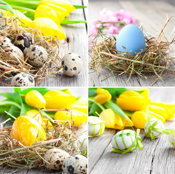 Conjunto de huevos de Pascua sobre fondo de madera — Foto de Stock