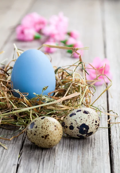 Oeufs de Pâques sur fond en bois — Photo