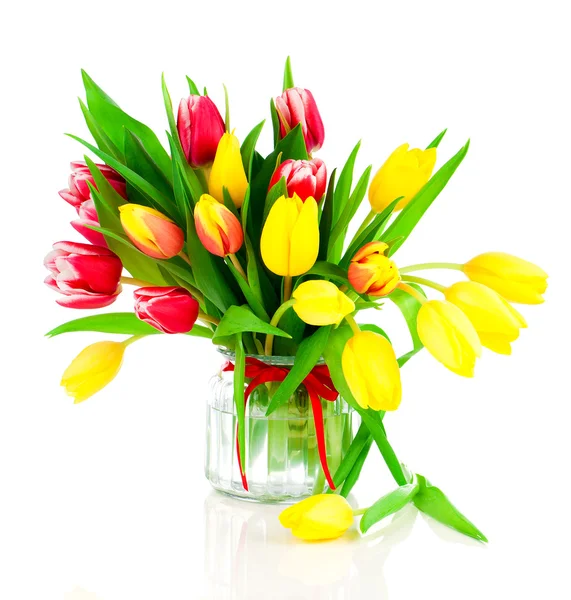 Tulips flowers on a white background — Stock Photo, Image