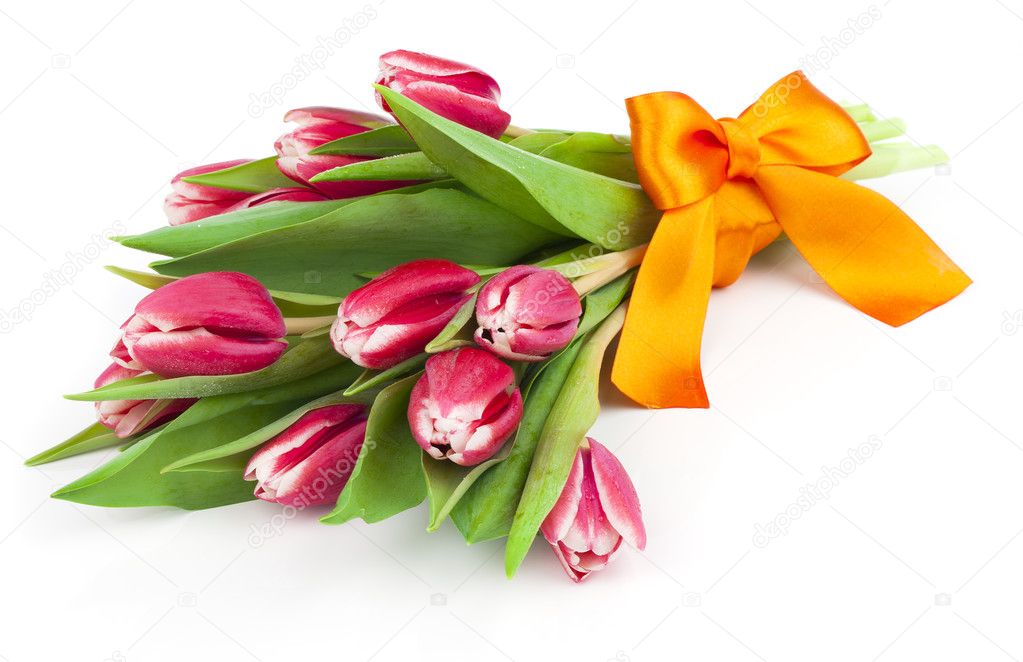 bouquet of beautiful tulips with bow-knot. March 8, valentine's 