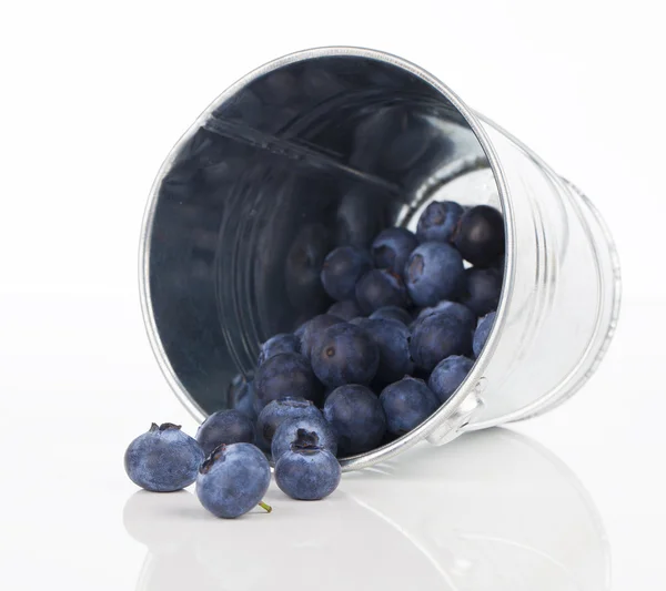 Beyaz adam izole blueberry meyveleri metal bir kova — Stok fotoğraf