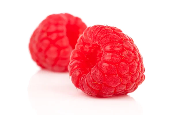 Red raspberry on white background — Stock Photo, Image