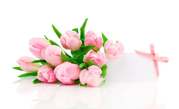 Beautiful tulips with with blank for text on a white background. — Stock Photo, Image