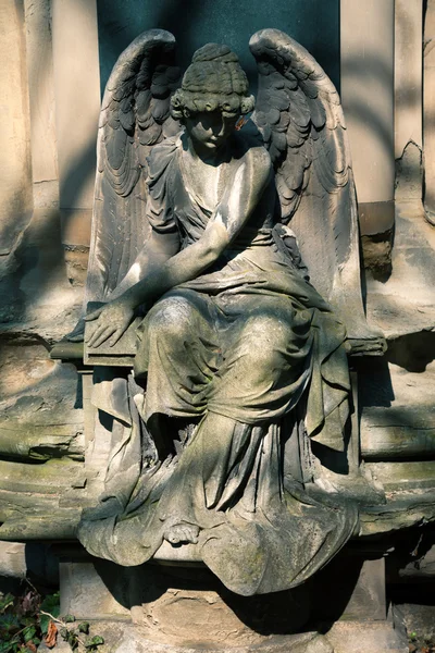 Angel statue on Cemetery in Europe — Stock Photo, Image