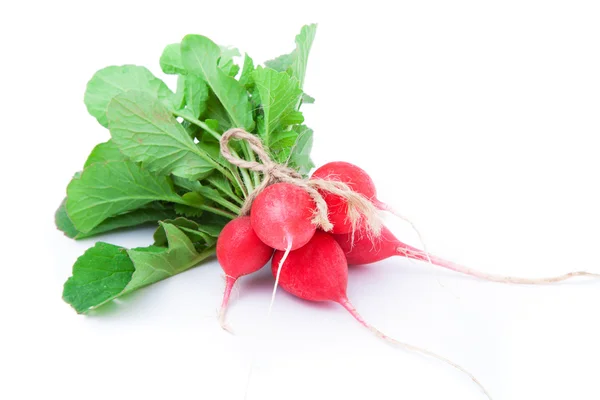 Small garden radish isolated on white background cutout — Stock Photo, Image